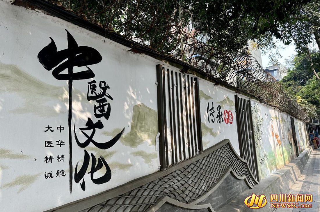 枣子巷社区的中医文化墙画.jpg