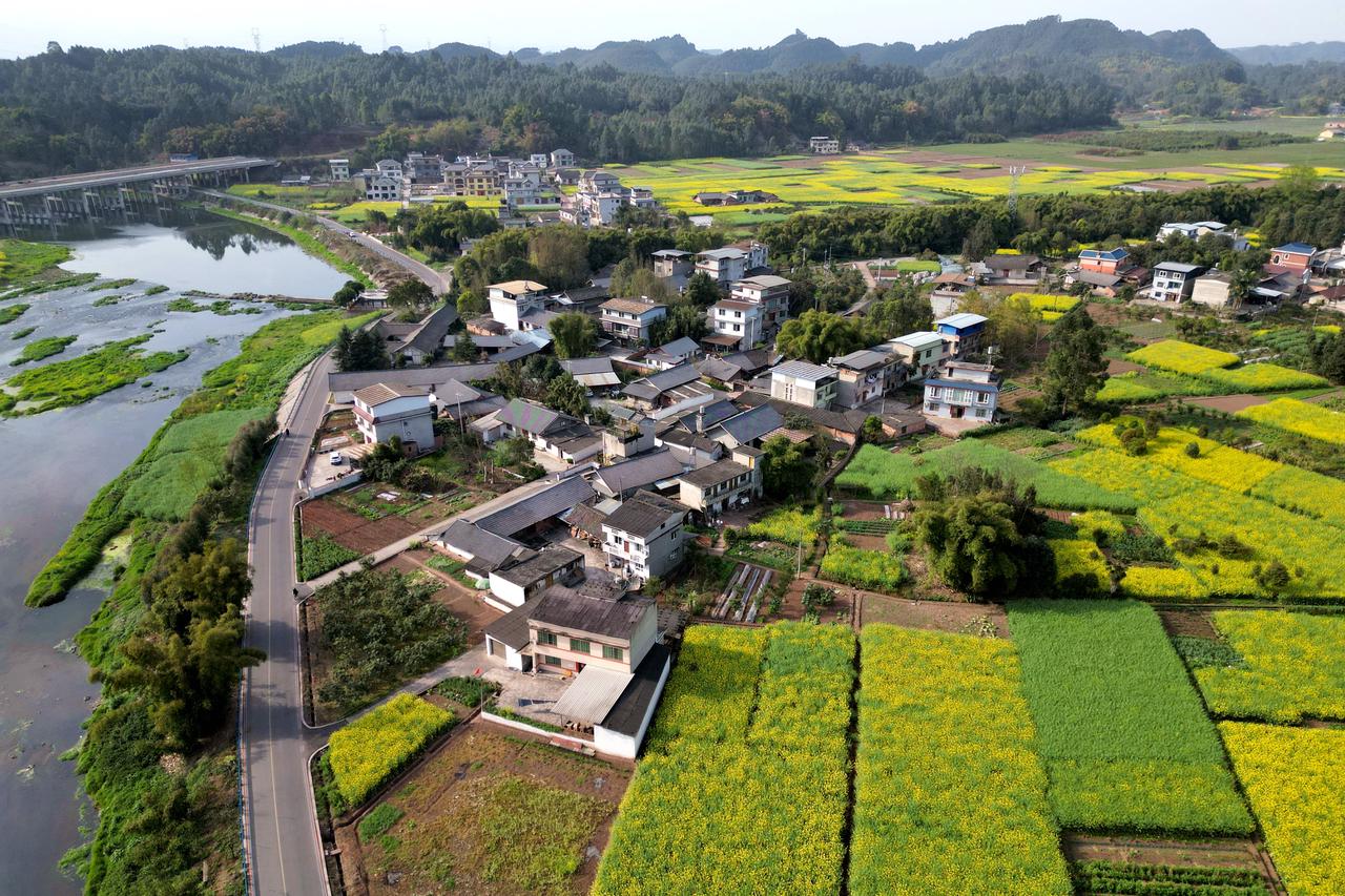 深入实施“四好农村路”建设.JPG