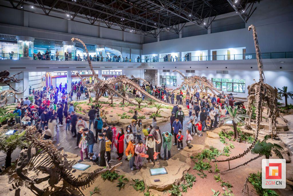 游客参观自贡恐龙博物馆 记者 叶卫东 摄.jpg
