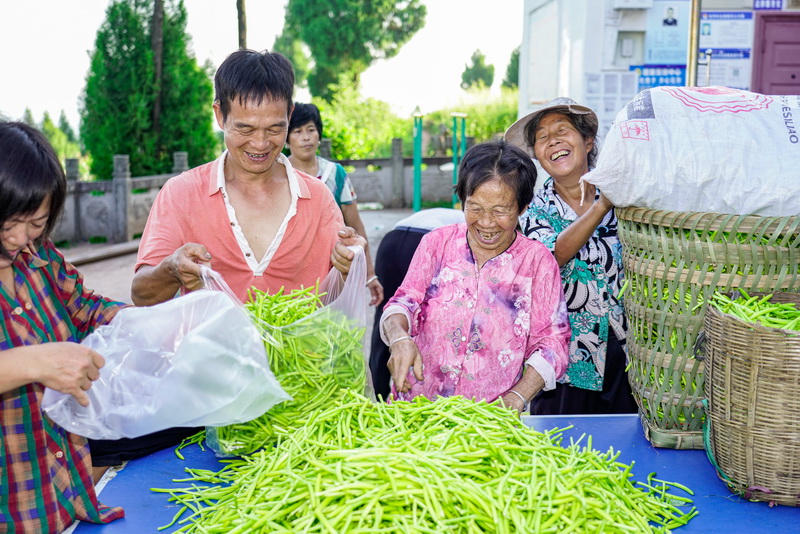 黄花分装3（孙伟、张靖摄）.jpg