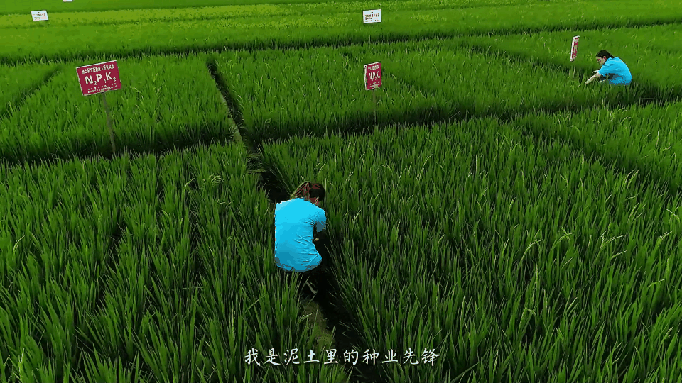 3 (1).gif