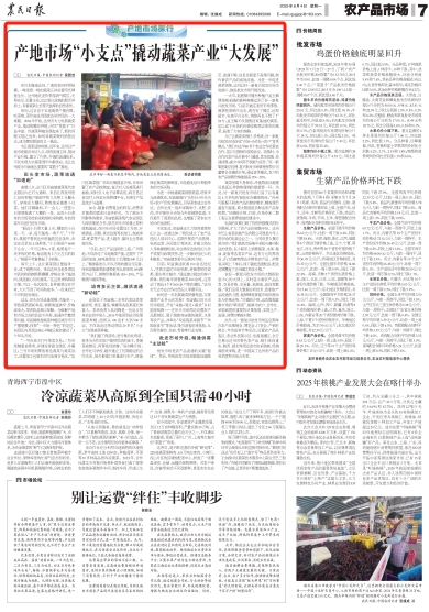 央媒看四川丨产地市场“小支点”撬动蔬菜产业“大发展”插图1