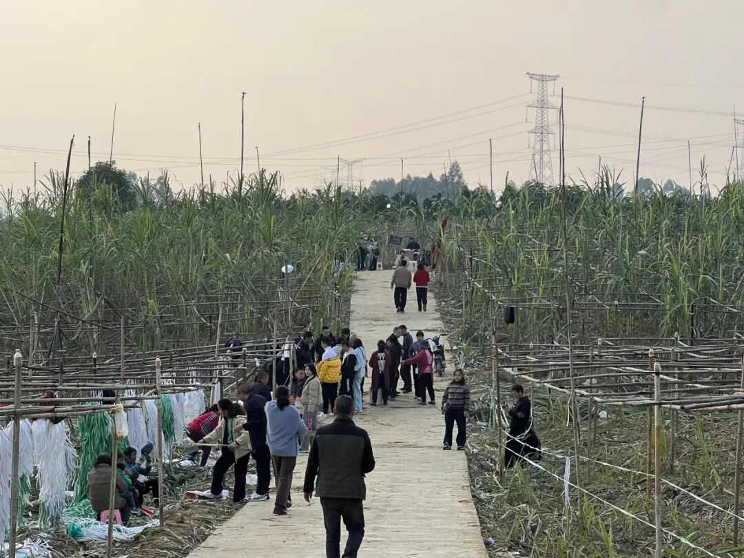 主要我的格局打得太大了!眉山“甘蔗哥”回应10万人“偷甘蔗”→插图10 主要我的格局打得太大了!眉山“甘蔗哥”回应10万人“偷甘蔗”→插图10