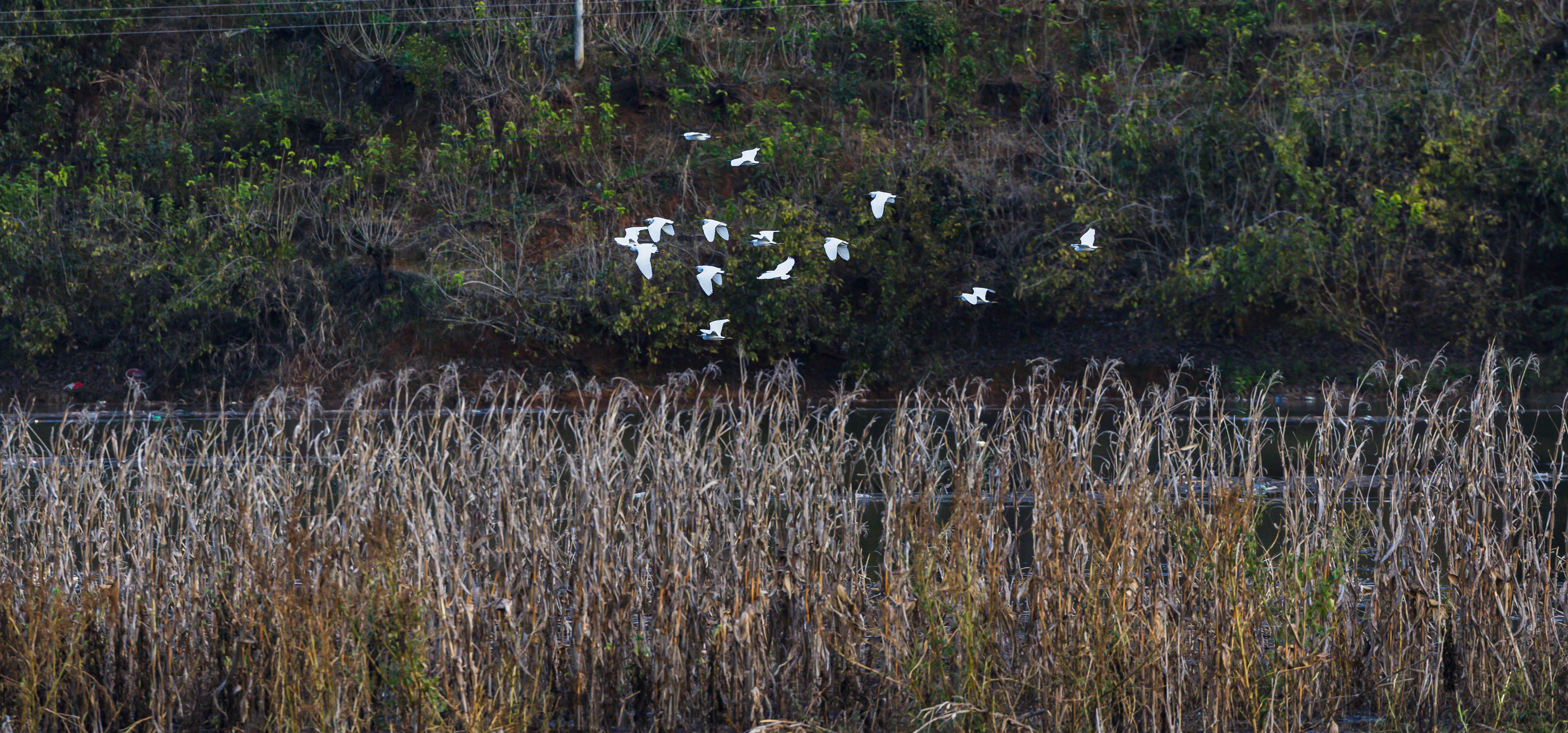 微信图片_20251201153601_399_17