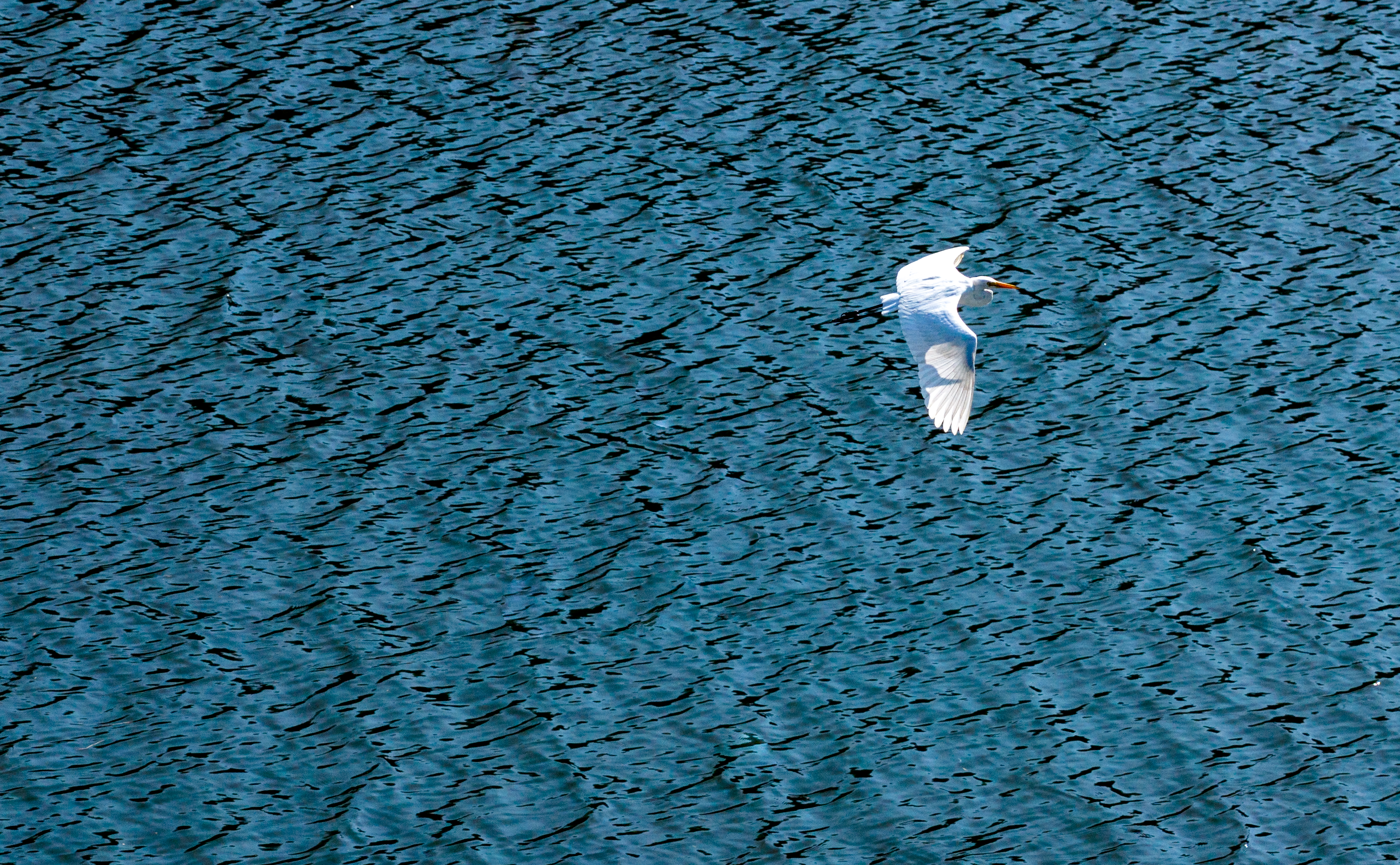 微信图片_20251201153601_400_17