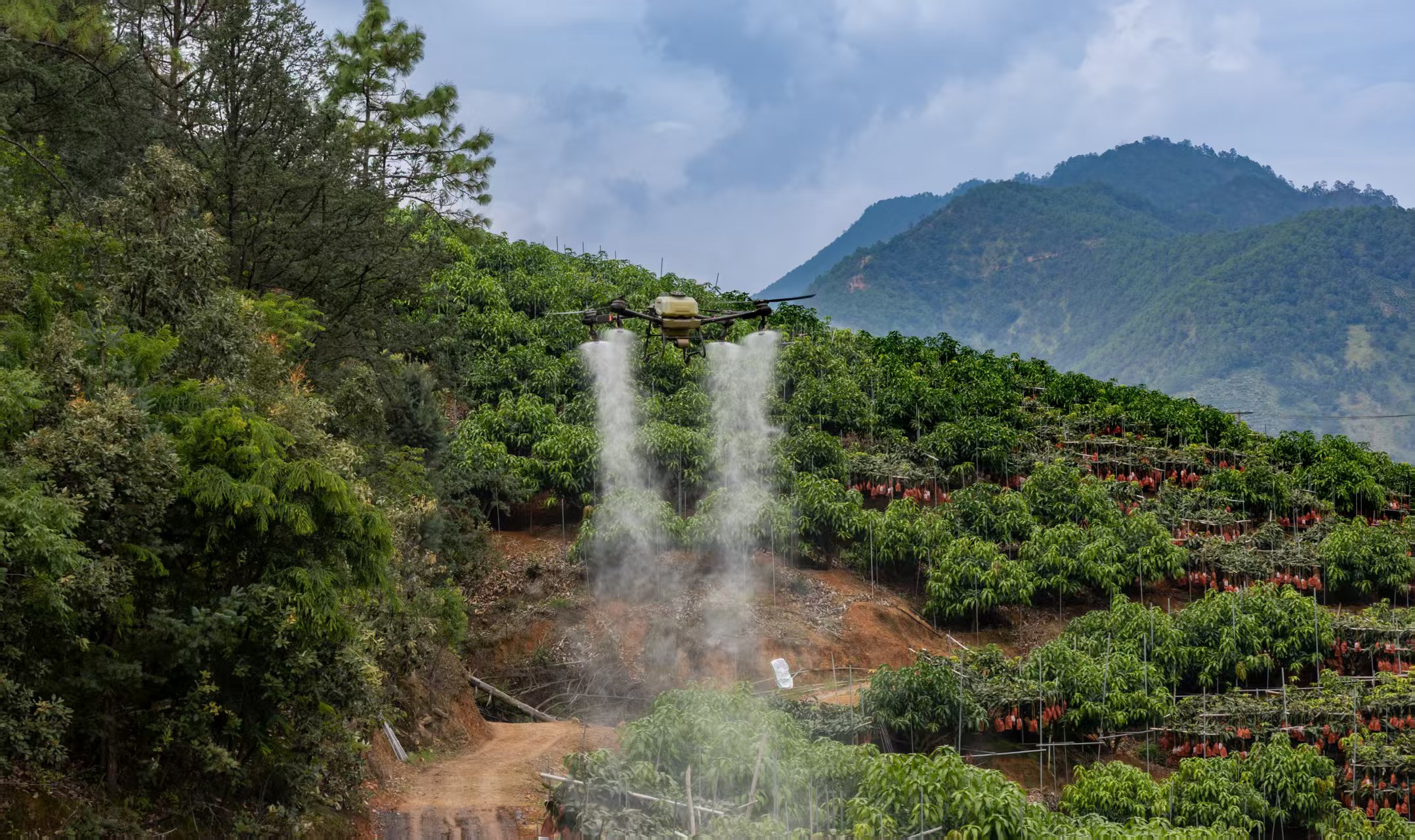 微信图片_20251210173201_480_17