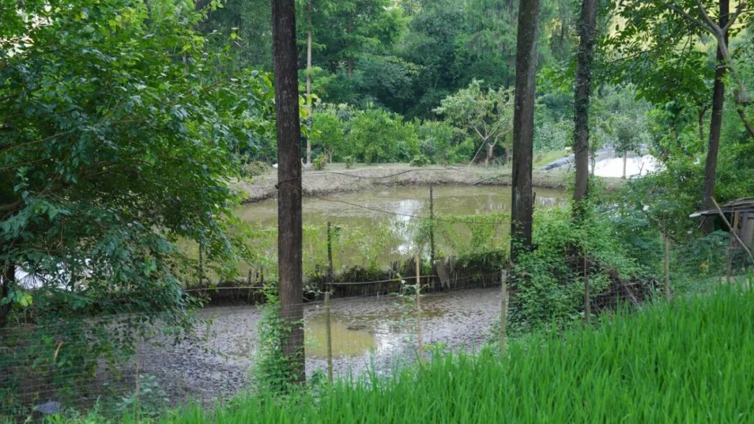06.jpg
