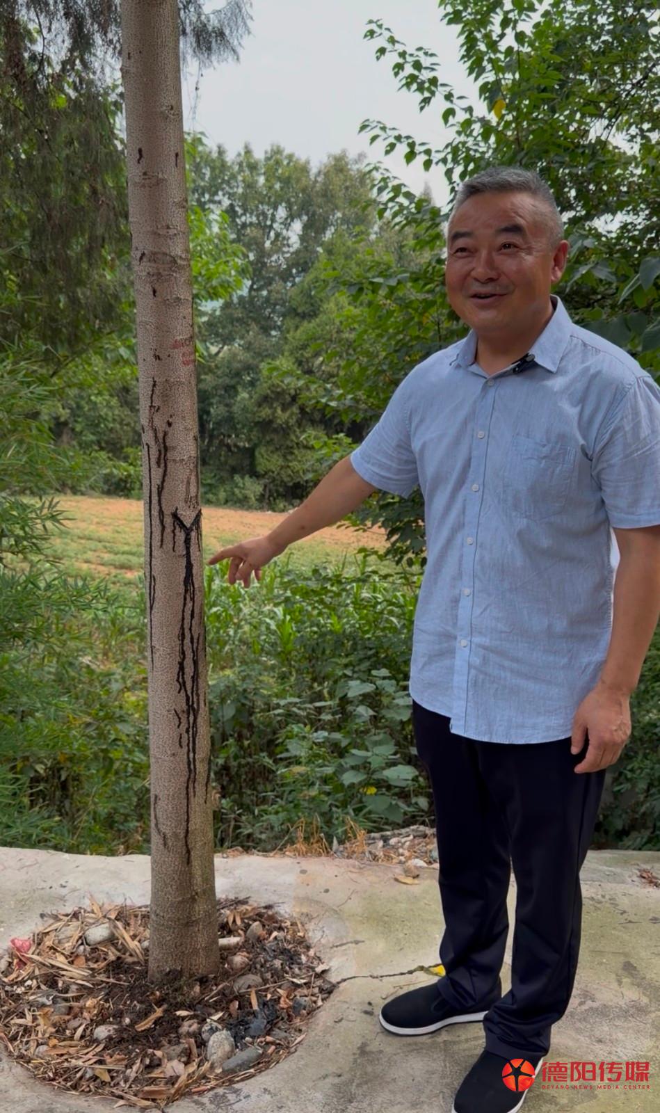 1785379581682_1785379581413021037.jpg 微信图片_20260730104559_1123_170.jpg