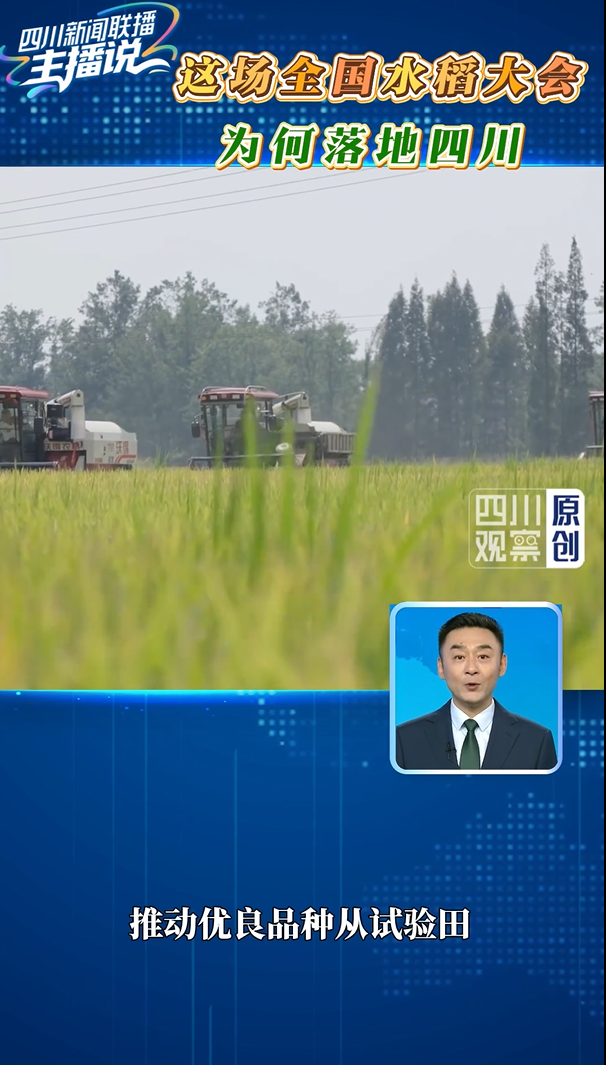 主播说丨这场全国水稻大会 为何落地四川插图1 主播说丨这场全国水稻大会 为何落地四川插图1