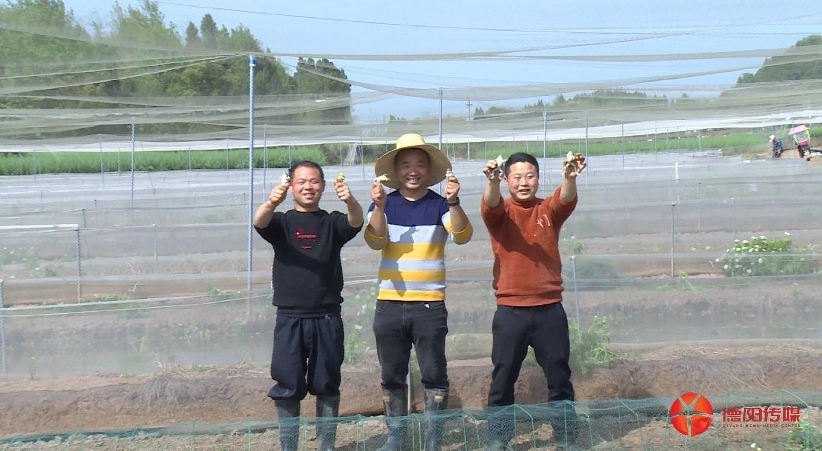 1792636918877_1792636918701022228.jpg 微信图片_20260807125215.jpg